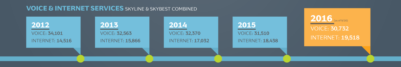 Voice and Internet Services